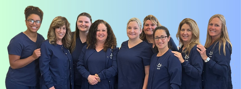 Our Team